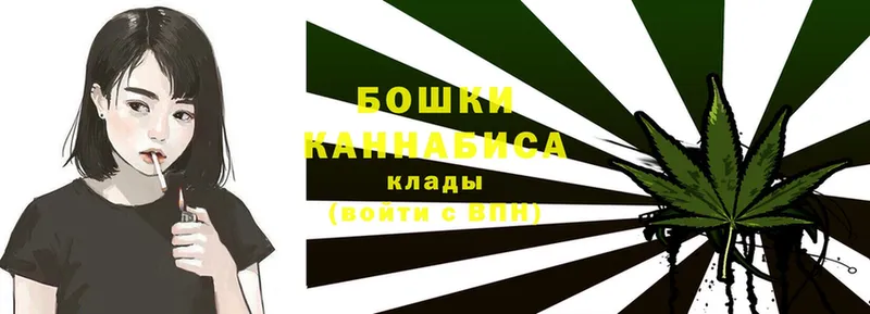 где купить наркоту  Змеиногорск  Бошки Шишки AK-47 